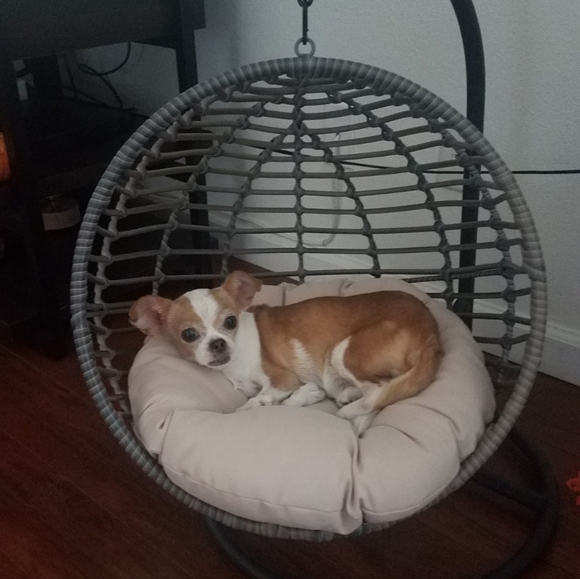 Meet your Posher, Ayen - Picture 3 of 4